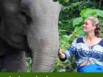 Phuket Elephant Sanctuary Half Day Tour With Transfer