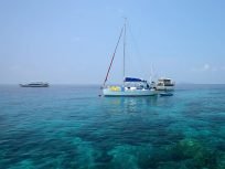 Similan Islands Private Speedboat Charter