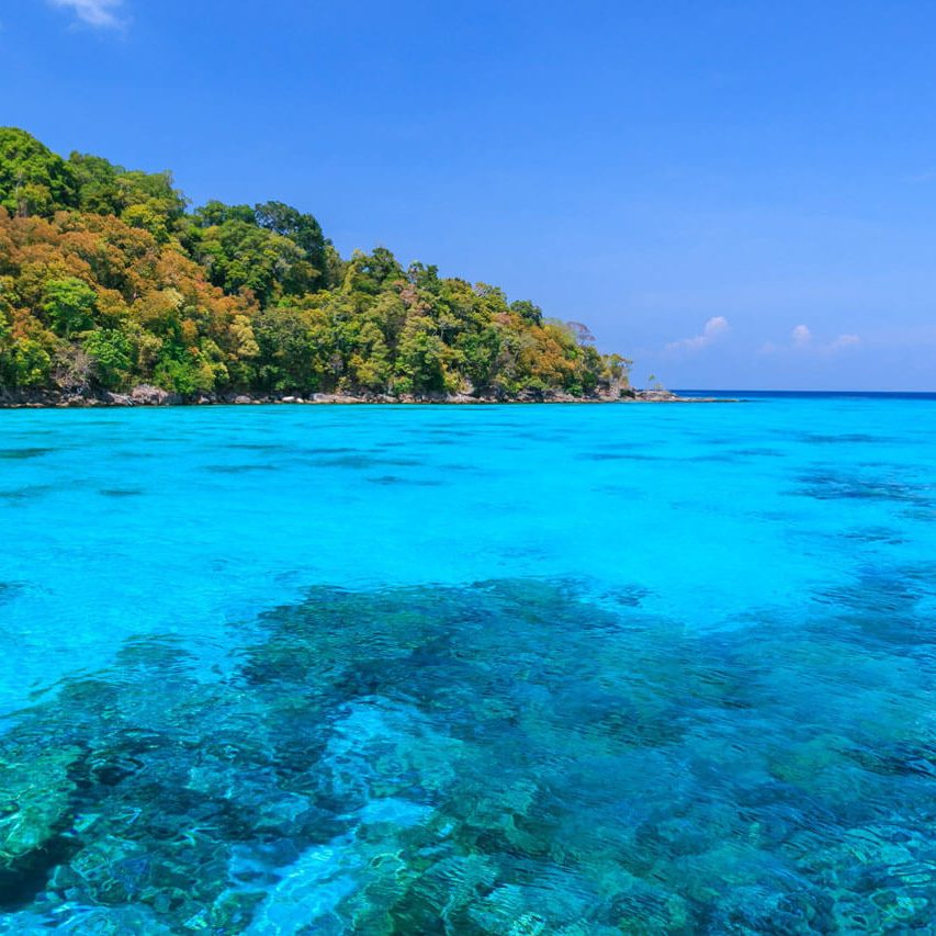 Similan Islands Private SpeedboatSurin Islands Snorkeling Day Trip