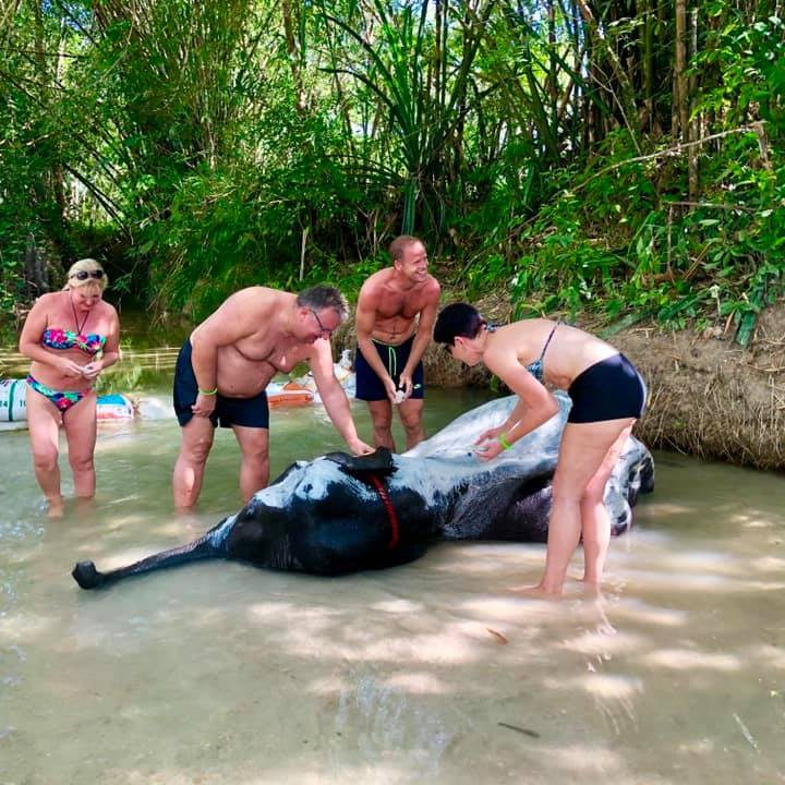 Premium Phang Nga Country side All in one Tour Sea turtle