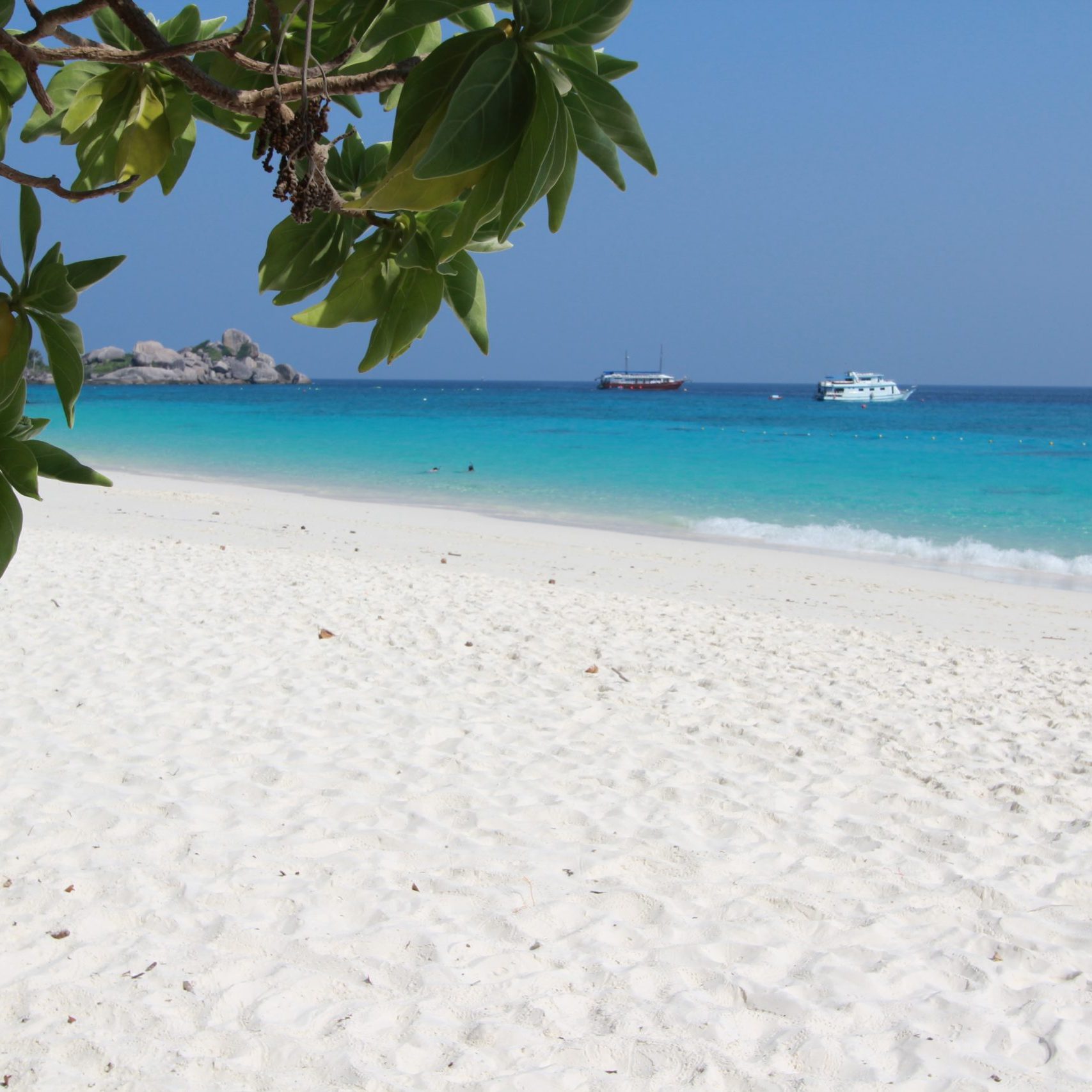 Similan Islands Tour by Speedboat