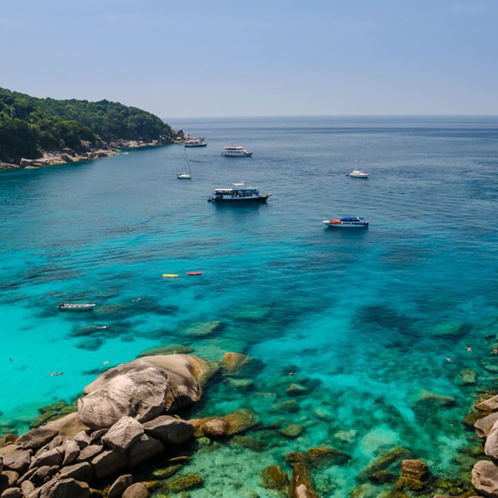 Similan Islands Tour