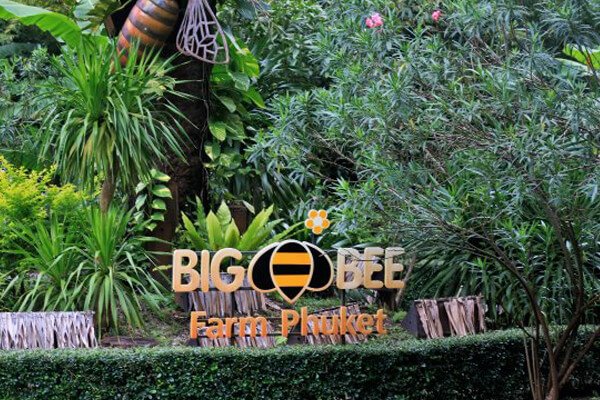 Minibus Rental Phuket - Big Bee Farm