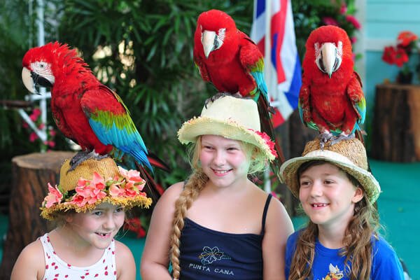 Minibus Rental Phuket - Phuket Bird Show