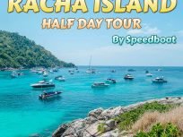 Racha Island Half Day Tour by Speedboat