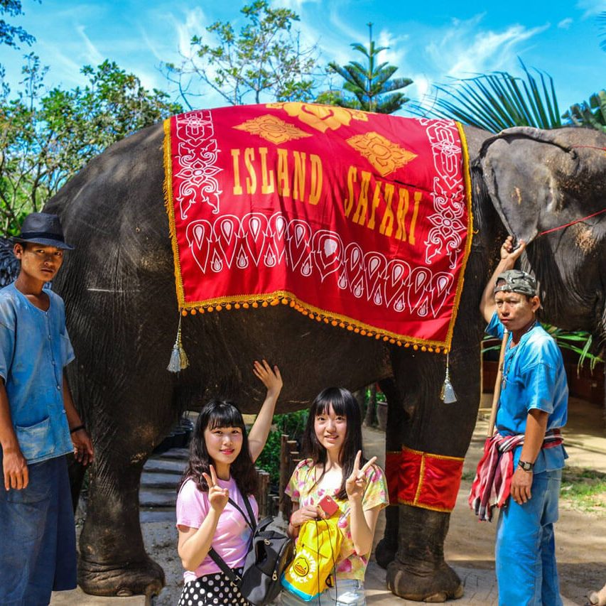 Phuket Island Safari