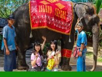 Island Safari And Elephant Riding Phuket Tour