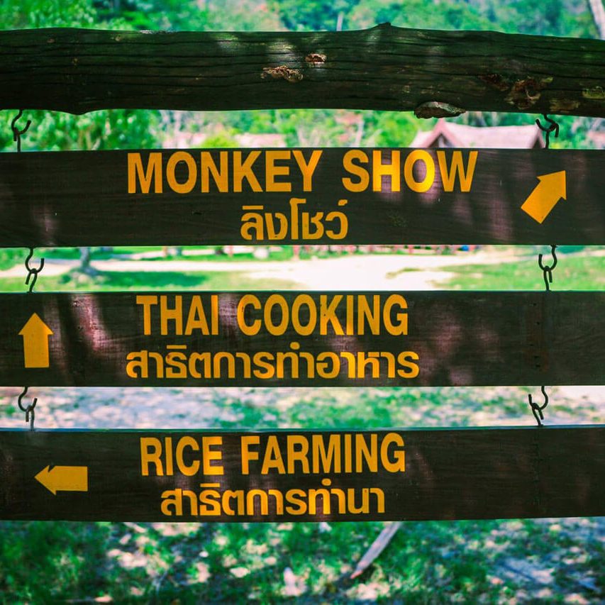 Phuket Island Safari