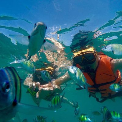 Sea Lover Tour Package