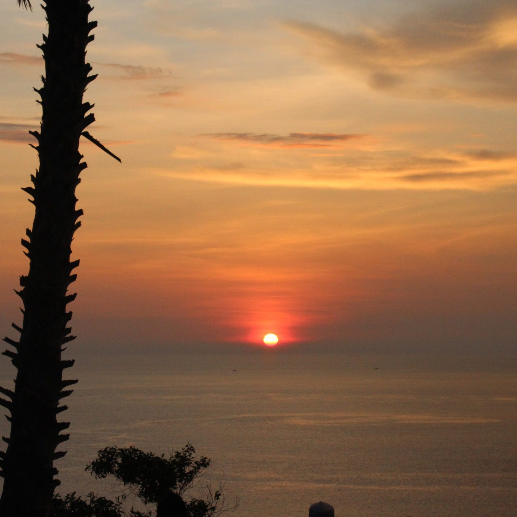 Phuket Nightlife Style Package