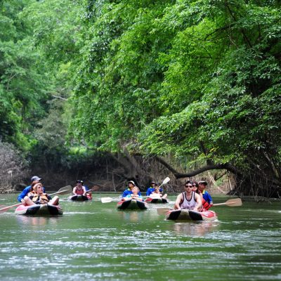Khao Sok 2 Days 1 Night Jungle Trekking Overnight