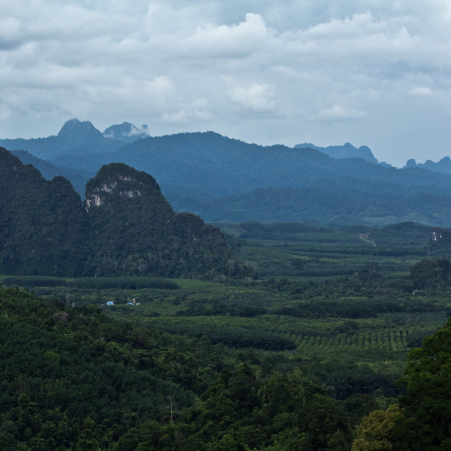 Khao Sok 2 Days 1 Night Jungle Trekking Overnight