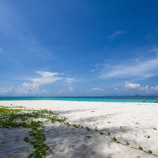 Phi Phi Islands Sunrise