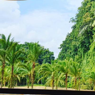 Khao Sok Overnight from Phuket