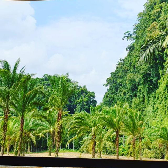 Khao Sok Overnight from Phuket