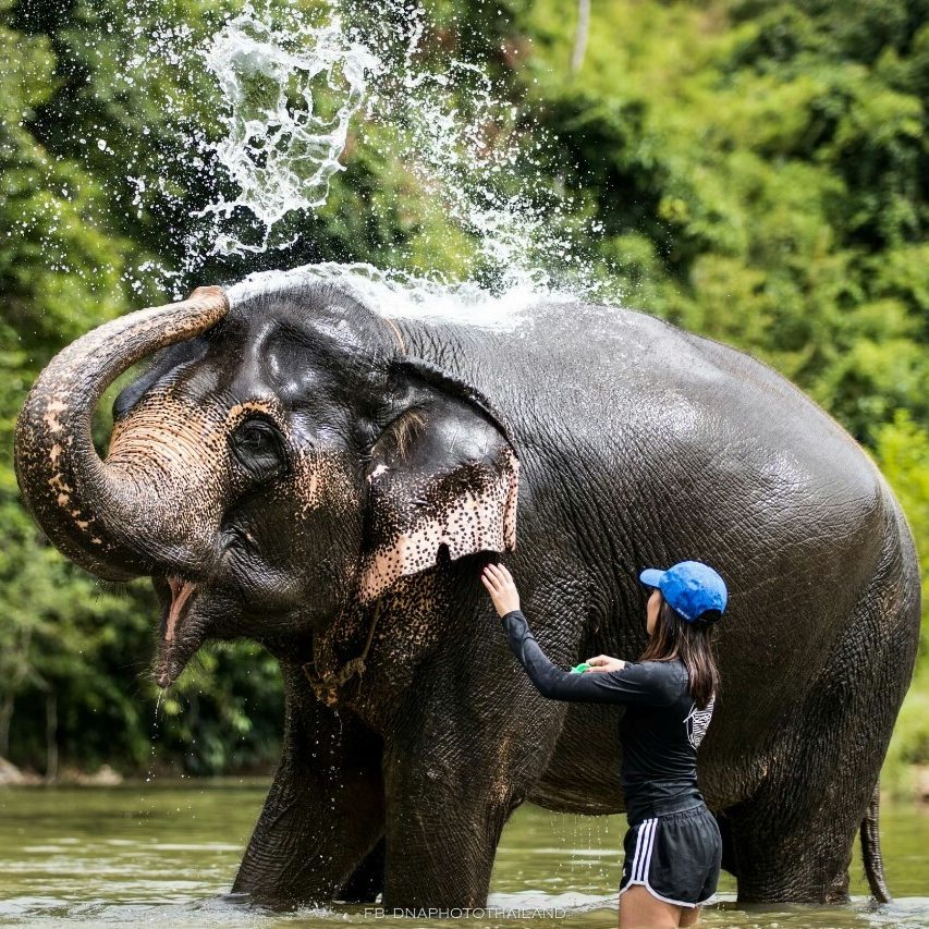 Khao Sok 2 Days 1 Night Jungle Trekking Overnight
