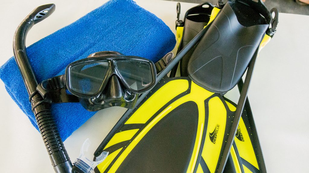 snorkeling equipment