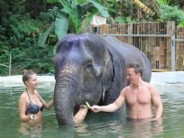 Phuket Elephant care programs