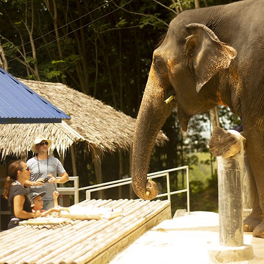 Private Phuket City Tour