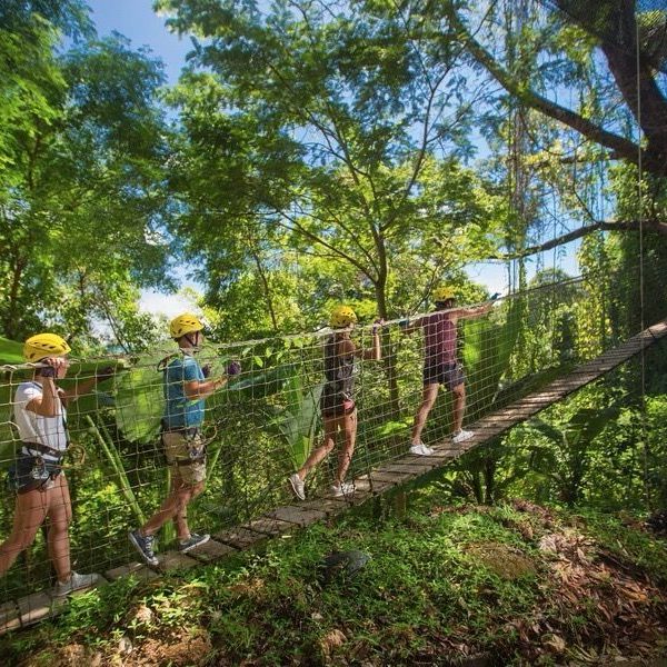 Zipline and kids zone Adventure