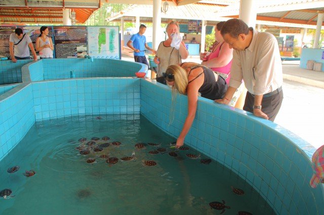 Premium Phang Nga Country side All in one Tour Sea turtle