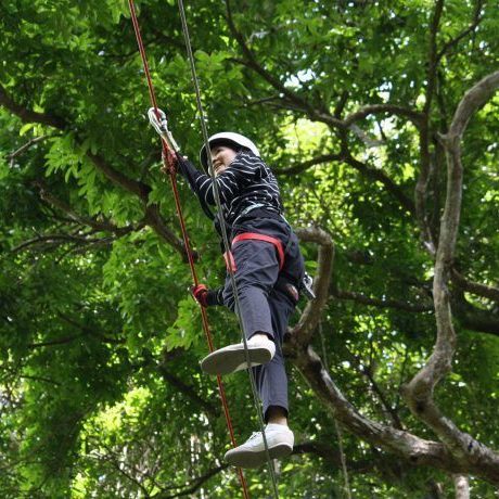 Zipline and kids zone Adventure